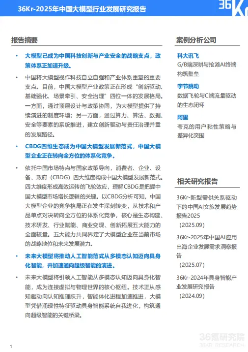 2025年中国大模型行业发展研究报告